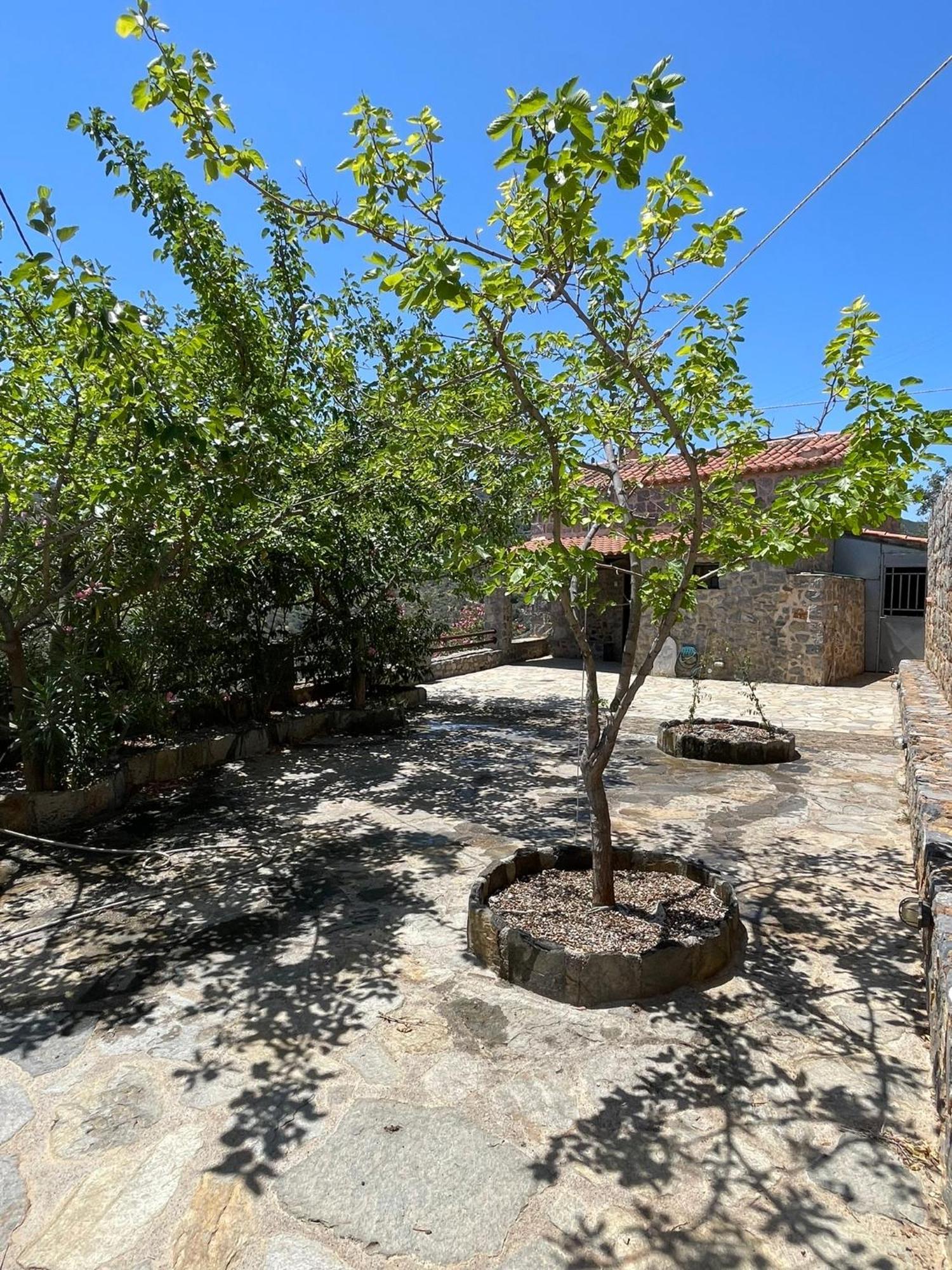 Guesthousekamara Monemvasía Exterior foto